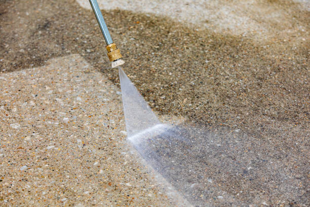 Best Roof Washing  in Moore Haven, FL